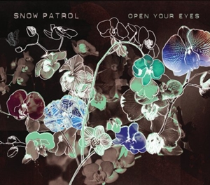 <span class="mw-page-title-main">Open Your Eyes (Snow Patrol song)</span> 2007 single by Snow Patrol