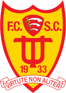 <span class="mw-page-title-main">Tiptree United F.C.</span> Football club