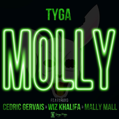 <span class="mw-page-title-main">Molly (Tyga song)</span> 2013 promotional single by Tyga featuring Cedric Gervais, Wiz Khalifa and Mally Mall