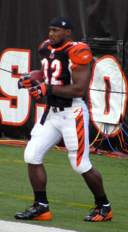 <span class="mw-page-title-main">Rudi Johnson</span> American football player (born 1979)