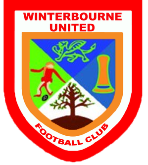 <span class="mw-page-title-main">Winterbourne United F.C.</span> Association football club in England