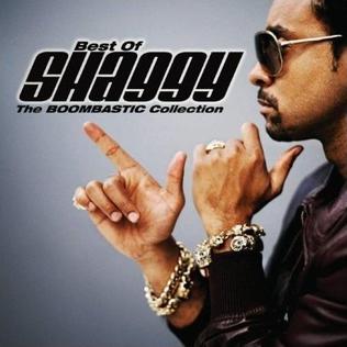 <i>Best of Shaggy: The Boombastic Collection</i> 2008 greatest hits album by Shaggy