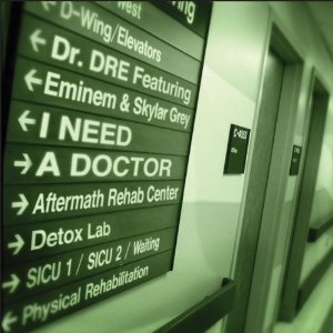 <span class="mw-page-title-main">I Need a Doctor</span> 2011 single by Dr. Dre featuring Eminem and Skylar Grey