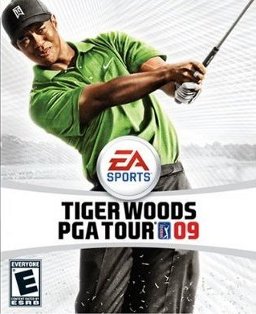 <i>Tiger Woods PGA Tour 09</i> 2008 video game