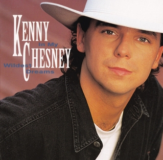 <i>In My Wildest Dreams</i> album by Kenny Chesney