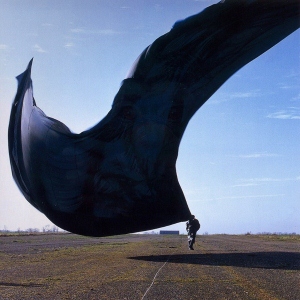 <span class="mw-page-title-main">High Hopes (Pink Floyd song)</span> 1994 single by Pink Floyd