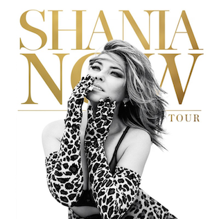 <span class="mw-page-title-main">Now Tour (Shania Twain)</span> 2018 concert tour by Shania Twain