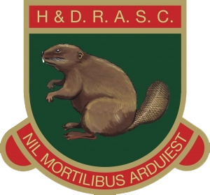 <span class="mw-page-title-main">Harrogate Railway Athletic F.C.</span> Association football club in England