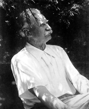 <span class="mw-page-title-main">Jens Jensen (landscape architect)</span> Danish-American landscape designer (1860–1951)