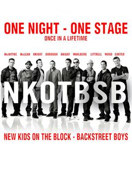 <span class="mw-page-title-main">NKOTBSB Tour</span> 2011–12 concert tour by NKOTBSB