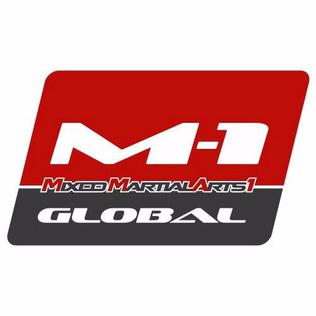 <span class="mw-page-title-main">M-1 Global</span> Mixed martial arts promotion