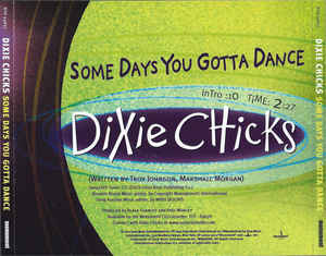 <span class="mw-page-title-main">Some Days You Gotta Dance</span> 2001 single by Dixie Chicks