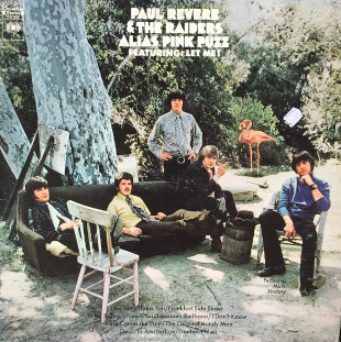 <i>Alias Pink Puzz</i> 1969 studio album by Paul Revere and the Raiders