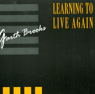 <span class="mw-page-title-main">Learning to Live Again</span> 1993 single by Garth Brooks