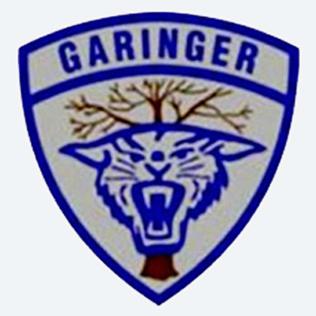 <span class="mw-page-title-main">Garinger High School</span> American school in North Carolina