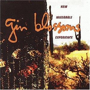 <i>New Miserable Experience</i> 1992 studio album by Gin Blossoms