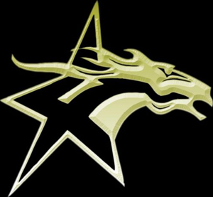 <span class="mw-page-title-main">Lone Star Mustangs</span>