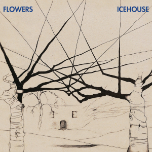 <i>Icehouse</i> (album) 1980 studio album by Flowers