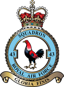 <span class="mw-page-title-main">No. 43 Squadron RAF</span> Defunct flying squadron of the Royal Air Force