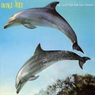 <i>You Cant Hide Your Love Forever</i> 1982 studio album by Orange Juice