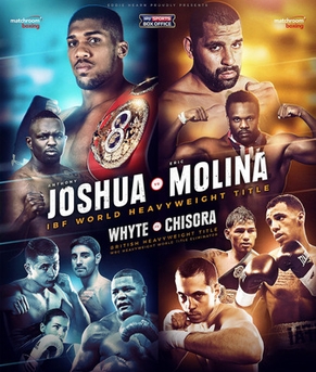 <span class="mw-page-title-main">Anthony Joshua vs Éric Molina</span> Boxing competition