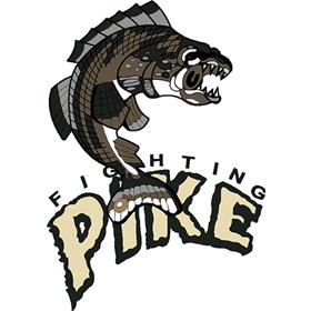 <span class="mw-page-title-main">Minnesota Fighting Pike</span> Arena football team