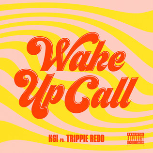 <span class="mw-page-title-main">Wake Up Call (KSI song)</span> 2020 song by KSI featuring Trippie Redd