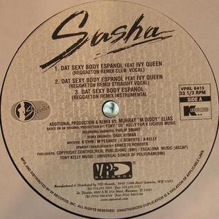 <span class="mw-page-title-main">Dat Sexy Body</span> 1998 single by Sasha