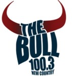 Previous logo BULL LOGO.jpg