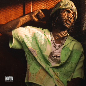 <i>Almighty So 2</i> 2024 studio album by Chief Keef