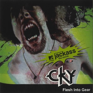 <span class="mw-page-title-main">Flesh into Gear</span> 2002 single by CKY