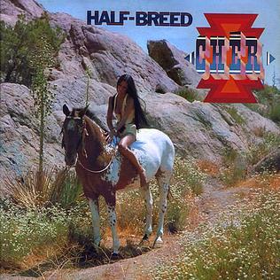 <i>Half-Breed</i> (album) 1973 studio album by Cher