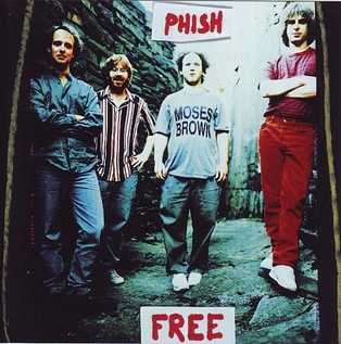 <span class="mw-page-title-main">Free (Phish song)</span> 1996 single by Phish