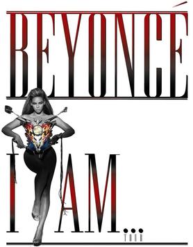 <span class="mw-page-title-main">I Am... (Beyoncé tour)</span> 2009–2010 concert tour by Beyoncé