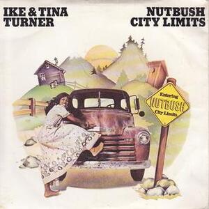 <i>Nutbush City Limits</i> (album) 1973 studio album by Ike & Tina Turner