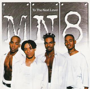 <i>To the Next Level</i> 1995 studio album by MN8