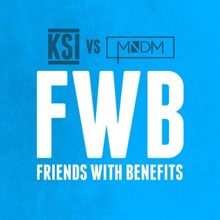 <span class="mw-page-title-main">Friends with Benefits (song)</span> 2016 song by KSI and MNDM