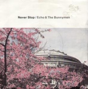 <span class="mw-page-title-main">Never Stop (Echo & the Bunnymen song)</span> 1983 single by Echo & the Bunnymen