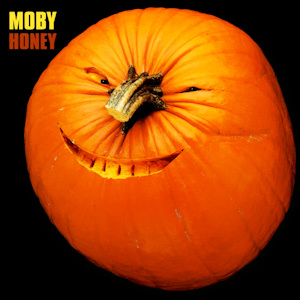 <span class="mw-page-title-main">Honey (Moby song)</span> 1998 single by Moby