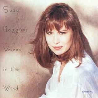 <i>Voices in the Wind</i> 1992 studio album by Suzy Bogguss