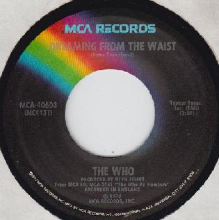 <span class="mw-page-title-main">Dreaming from the Waist</span> 1976 single by The Who