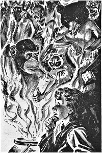 <span class="mw-page-title-main">The Owl and the Ape</span> Short story by L. Sprague de Camp