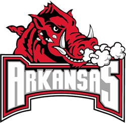 <span class="mw-page-title-main">2006 Arkansas Razorbacks football team</span> American college football season