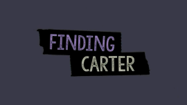 <i>Finding Carter</i> 2014 American teen drama television series