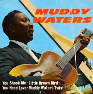 <span class="mw-page-title-main">You Shook Me</span> 1962 single by Muddy Waters