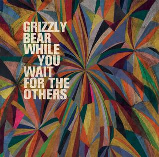 <span class="mw-page-title-main">While You Wait for the Others</span> 2009 single by Grizzly Bear