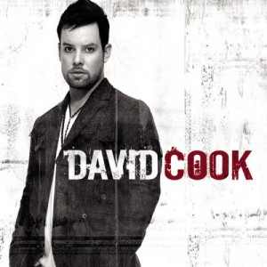 <i>David Cook</i> (album) 2008 studio album by David Cook