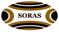 <span class="mw-page-title-main">SORAS Group Limited</span> Insurance services group