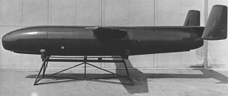 <span class="mw-page-title-main">Radioplane Q-1</span> Type of aircraft