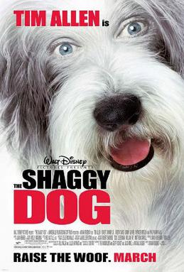 <i>The Shaggy Dog</i> (2006 film) 2006 film by Brian Robbins